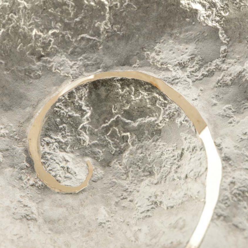 anello nautilus sbiancato dettaglio